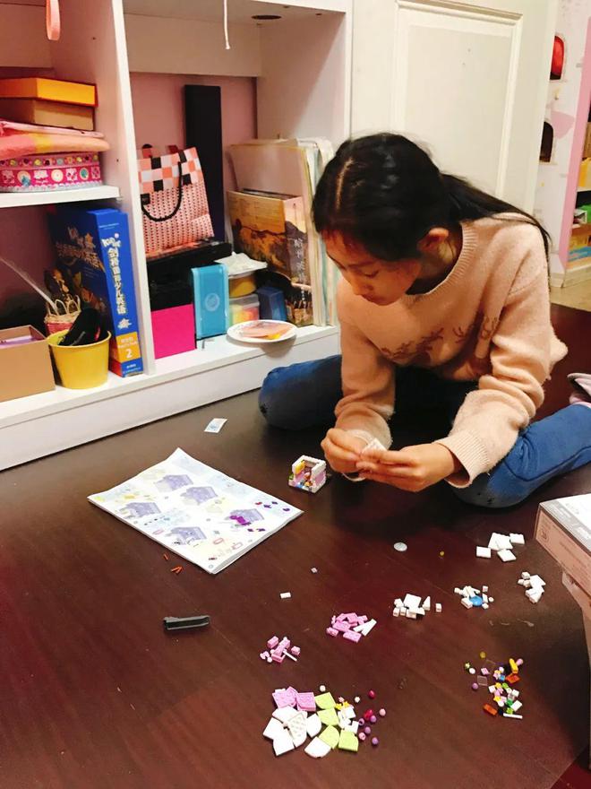 易倍体育 EMC易倍返团 儿童节礼物：美丽又划算的LOZ积木又出了很多新款(图3)