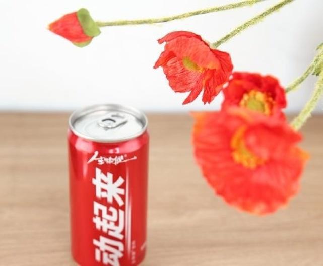 易倍体育 EMC易倍家有学生春节送什么礼物？太阳神动起来生物健饮料了解下？(图2)
