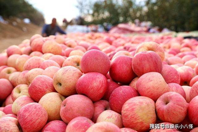 过年走EMC体育 EMC易倍体育亲戚多送这6种水果附上一句拜年话亲戚对你刮目相看(图3)