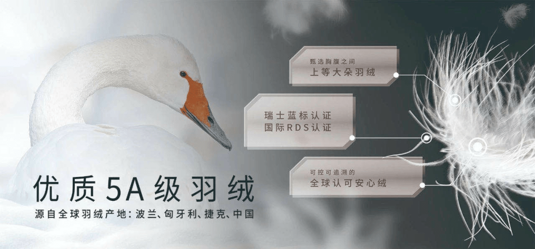 易倍体育 EMC易倍2021新春礼物榜单黑马！波司登竟成明星送礼新宠(图27)