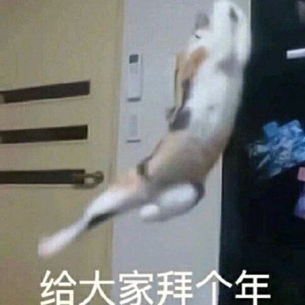 2020适合过年EMC易倍体育 易倍EMC发朋友圈的文案句子 鼠年新年暖心贺词(图1)