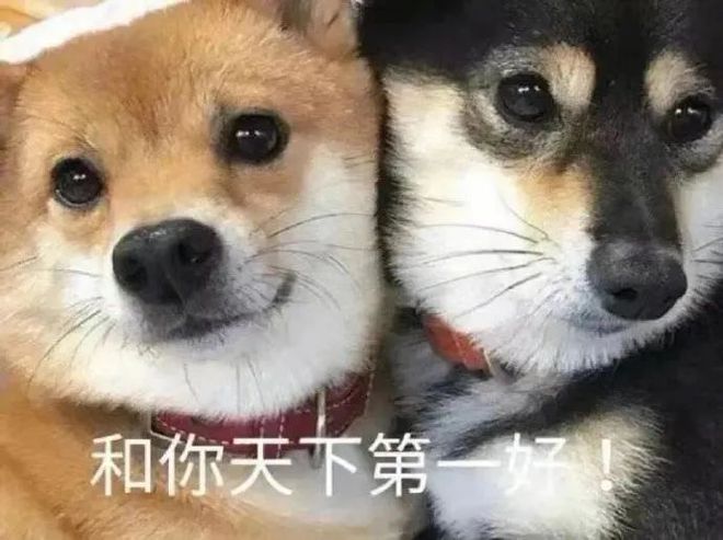体面又实用的送礼清单EMC易倍体育 易倍EMC我给你准备好了(图1)