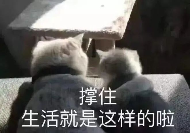 体面又实用的送礼清单EMC易倍体育 易倍EMC我给你准备好了(图4)