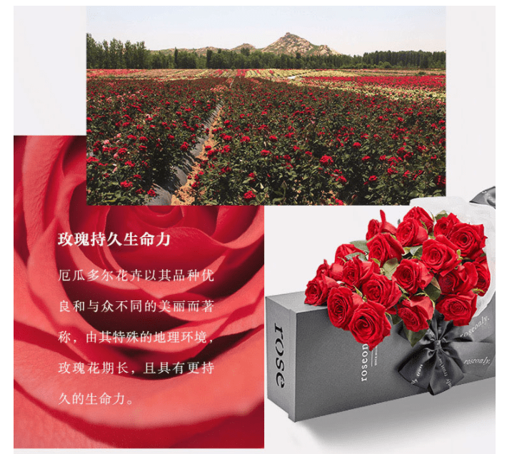 EMC体育 EMC易倍体育心愿之选 情人节礼物排行榜排名第一竟是幸运吉拉(图8)