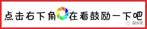 普EMC易倍体育 易倍EMC洱茶：元道告诉你送礼最佳两款性价比超高团购模式开启(图2)