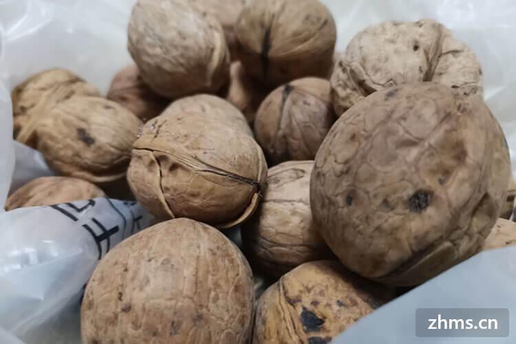 好吃的零食都有哪些种类EMC易倍体育 易倍EMC(图2)