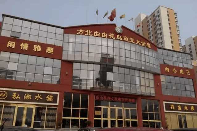 庄里所有的批发市场位易倍体育 EMC易倍置 采买年货准备过个好年吧!(图15)