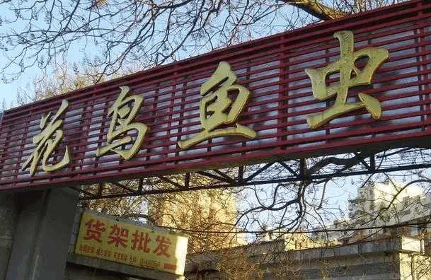 庄里所有的批发市场位易倍体育 EMC易倍置 采买年货准备过个好年吧!(图20)