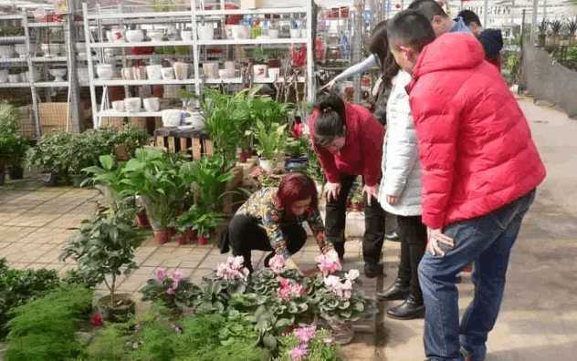 庄里所有的批发市场位易倍体育 EMC易倍置 采买年货准备过个好年吧!(图17)