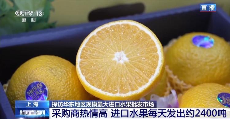 春节临近“抢鲜EMC易倍体育 易倍EMC”体验 去各地批发市场看年货喽(图7)