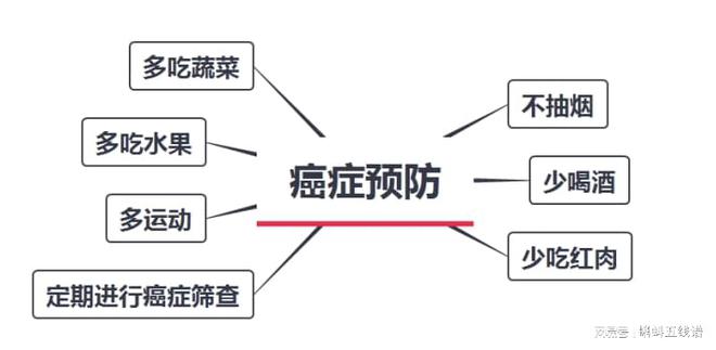 春节送礼送什么更健EMC体育 EMC易倍体育康？(图5)