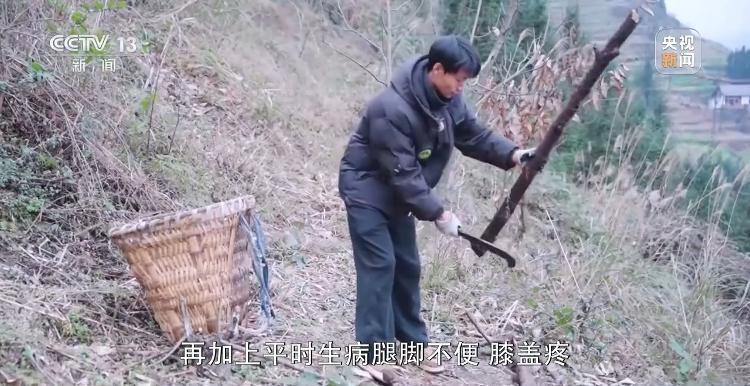 EMC体育 EMC易倍体育走心陪伴 才是春节最好的礼物(图2)