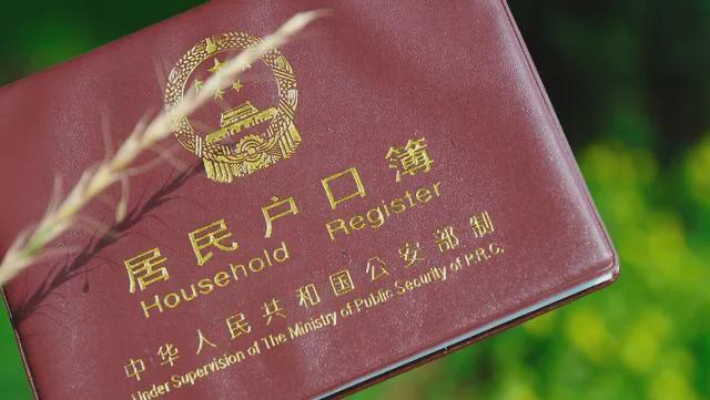 农村户口的福利来了2024年中央1号文件定调惠农大礼包请查收EMC易倍体育 易倍EMC(图3)