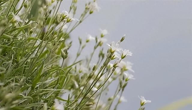 继父比我妈小四岁结婚一年他却突然约我见面结果我大吃一惊EMC体育 EMC易倍体育(图12)