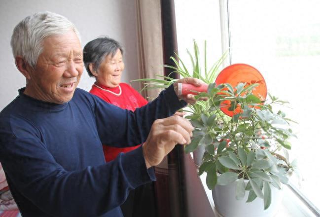 EMC体育 EMC易倍体育退休后才会发现：多子女家庭的老人比独生子女家庭的老人更幸福(图4)